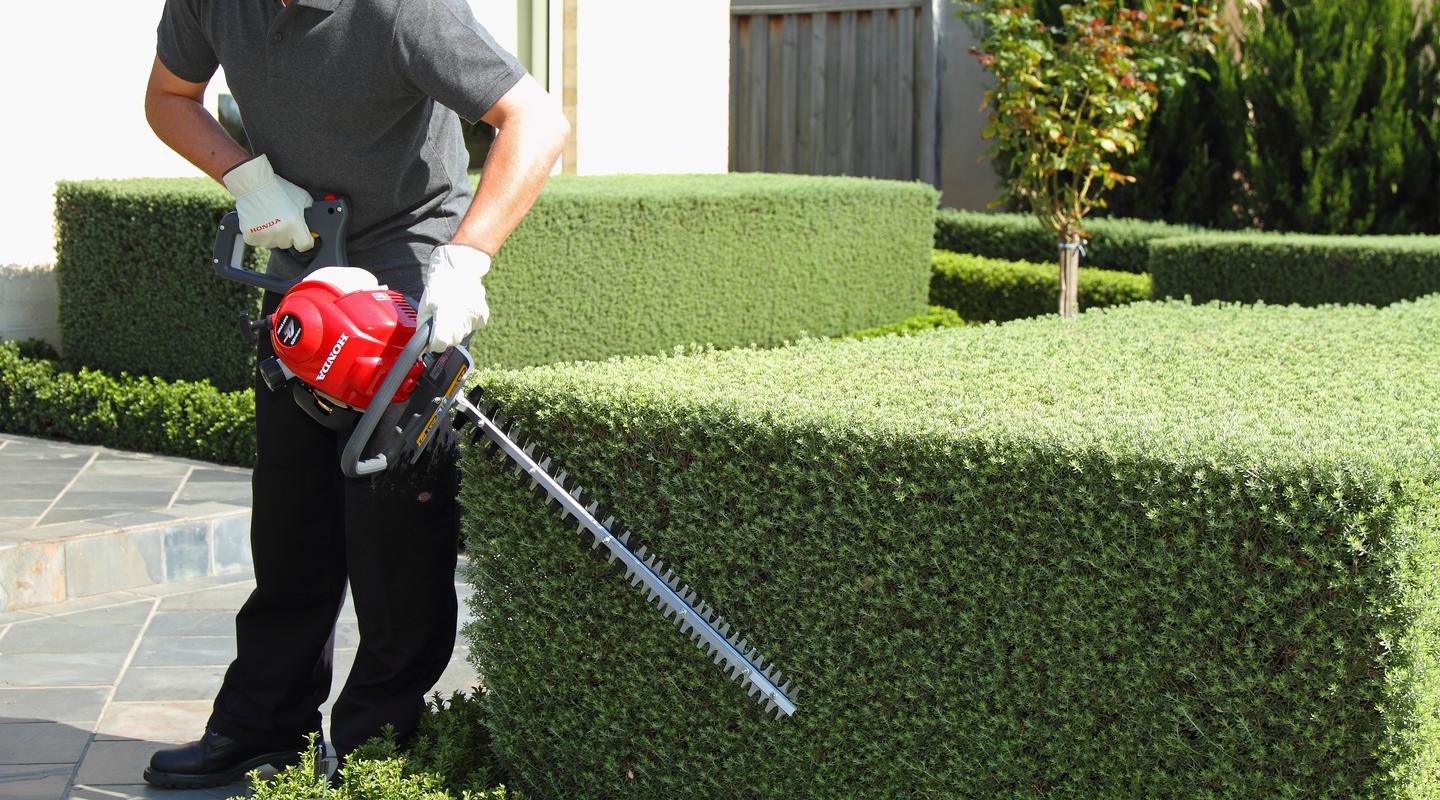 Honda HHH25D Hedge Trimmer