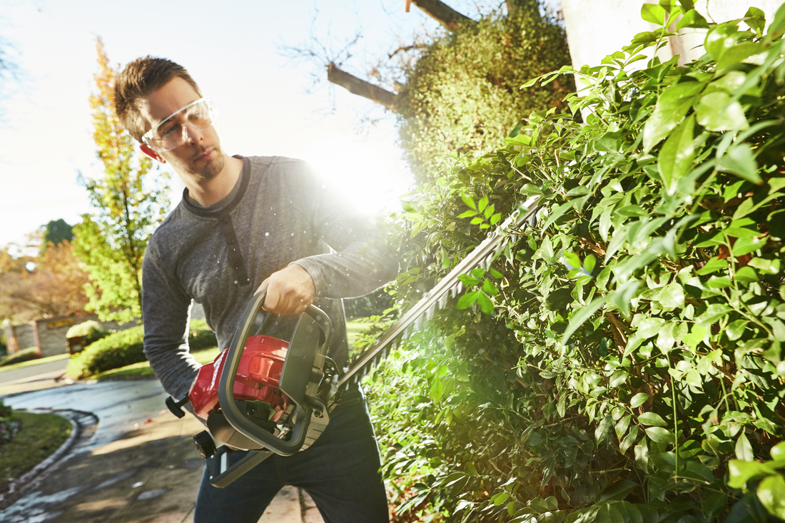 Honda HHH25D Hedge Trimmer
