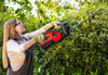 Honda HHH36BXB Domestic Hedge Trimmer