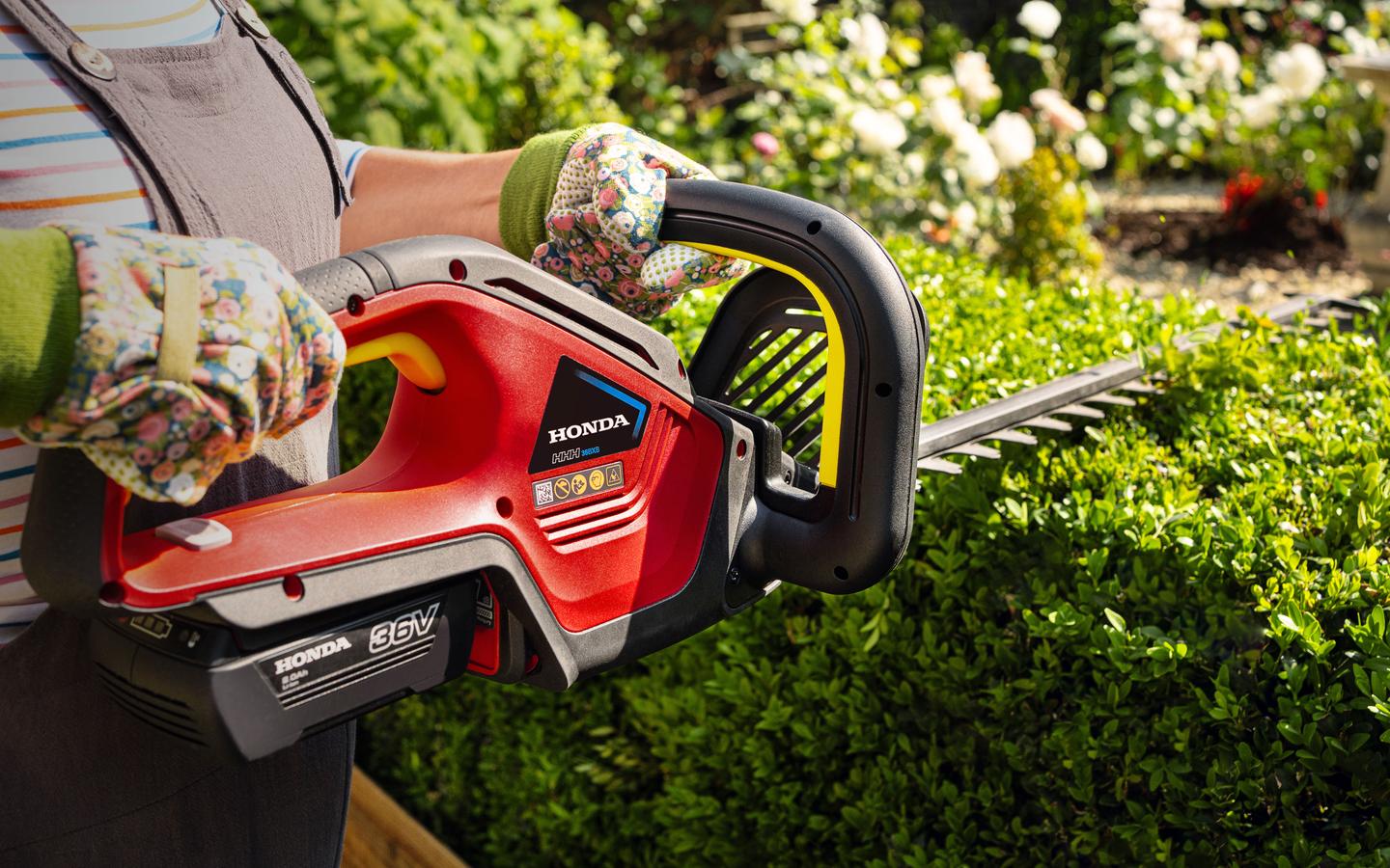 Honda HHH36BXB Domestic Hedge Trimmer