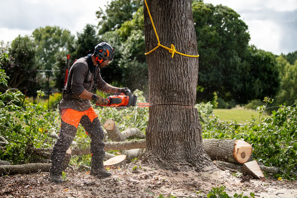 Husqvarna 564 XP Fuel Injected Chainsaw