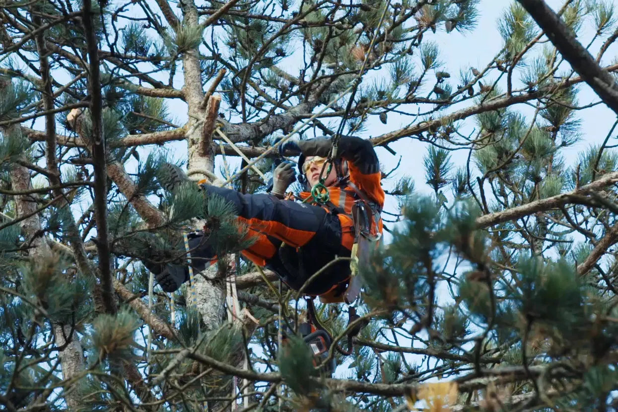 HUSQVARNA T540i XP Chainsaw