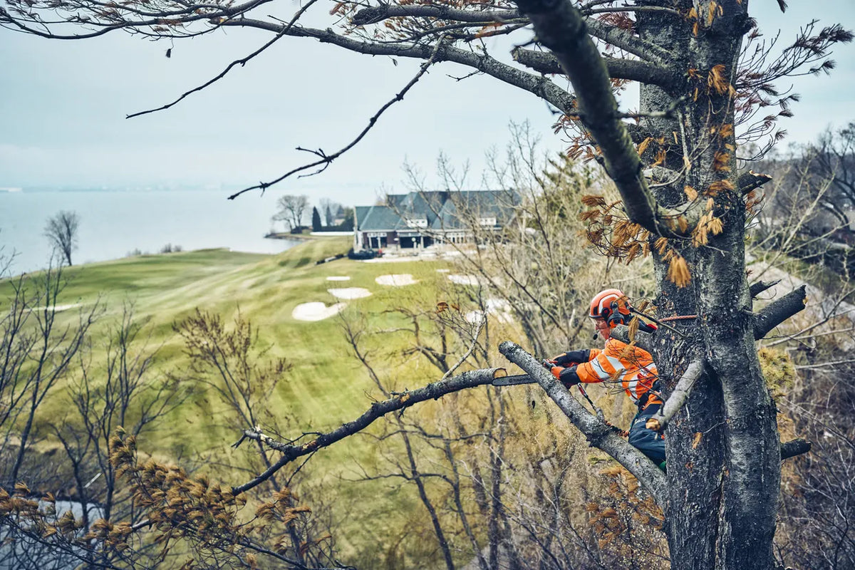 Husqvarna T542i XP® Battery treecare chainsaw - Skin Only
