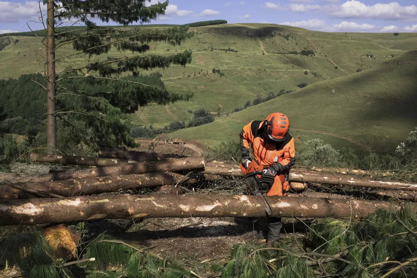 Husqvarna 565 AutoTune™ Chainsaw