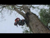 Load and play video in Gallery viewer, Husqvarna 572 XP® Chainsaw