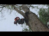 Load and play video in Gallery viewer, HUSQVARNA 572 XP® Chainsaw